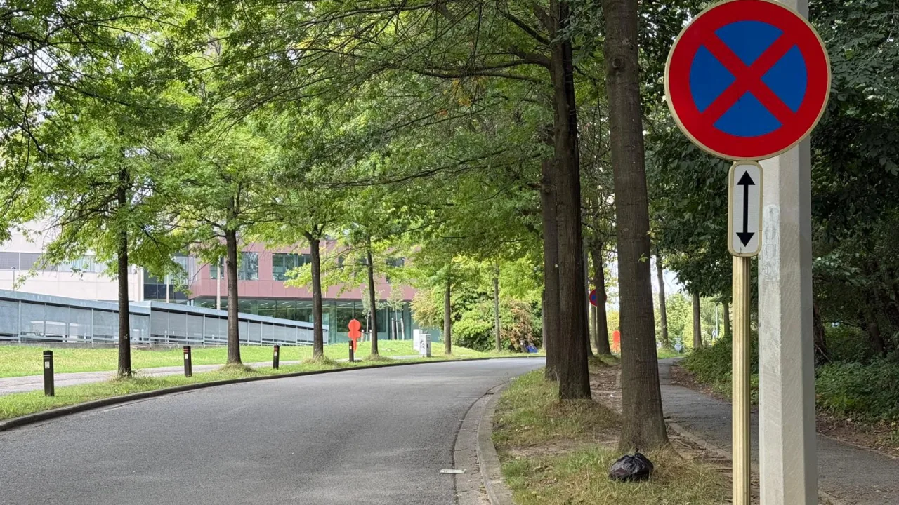 Panneau additionnel à double flèche verticale, sous un signal d'arrêt et stationnement interdits
