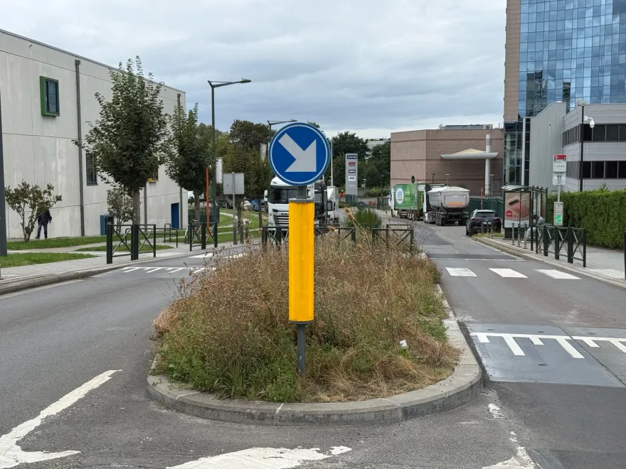 Signal rond bleu à flèche oblique vers la droite, planté sur un îlot au milieu de la chaussée