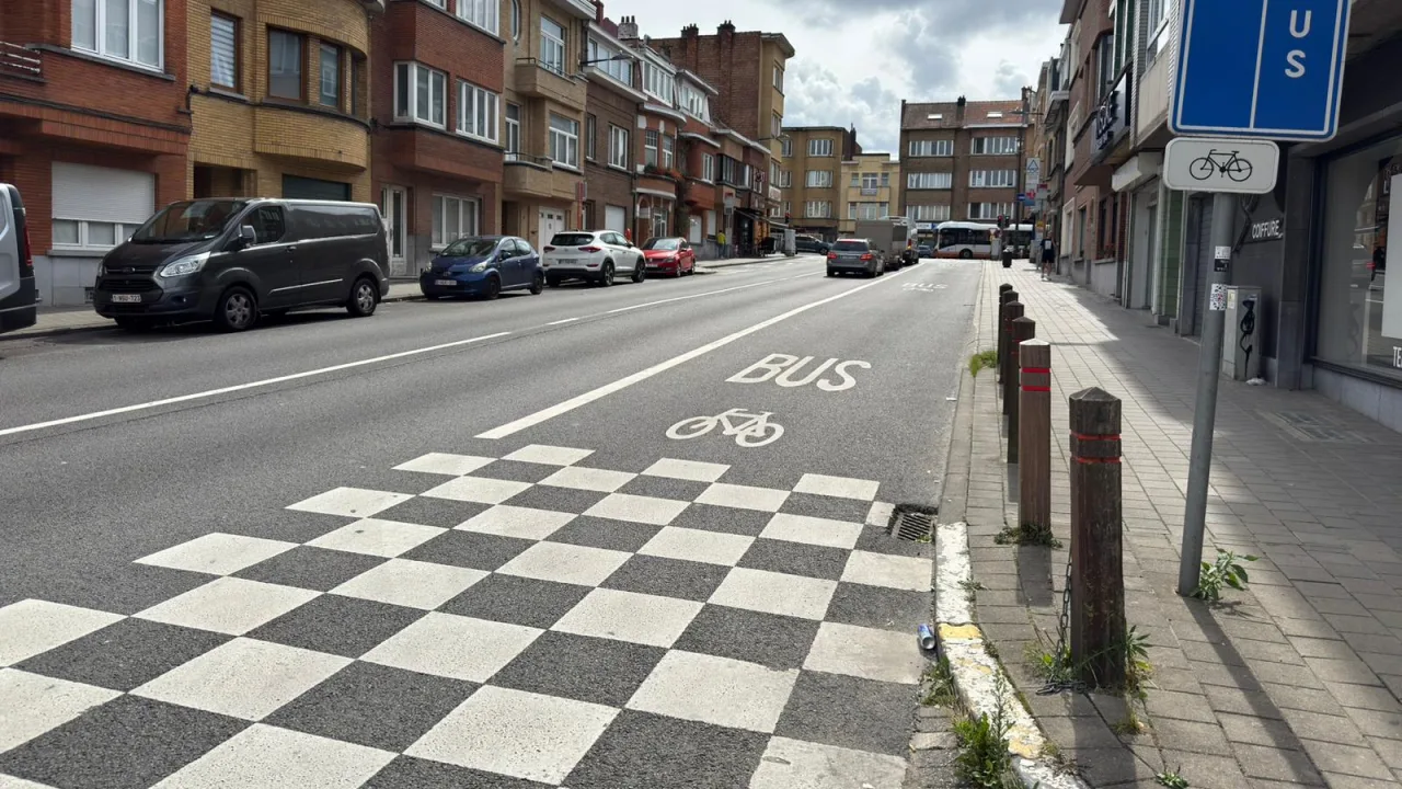 Damier de carrés blancs peint au sol, séparant la chaussée d'une bande réservée aux bus