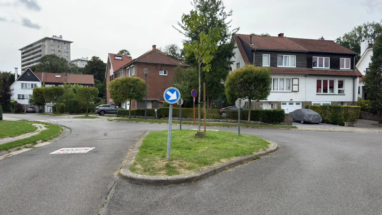 Signal rond bleu à flèche oblique vers la droite, planté sur un îlot au milieu de la chaussée