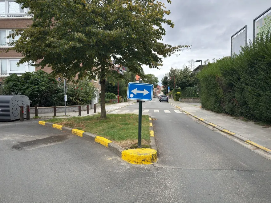 Îlot planté d'un arbre au milieu d'une chaussée, bordure peinte en jaune, portant un signal à double flèche