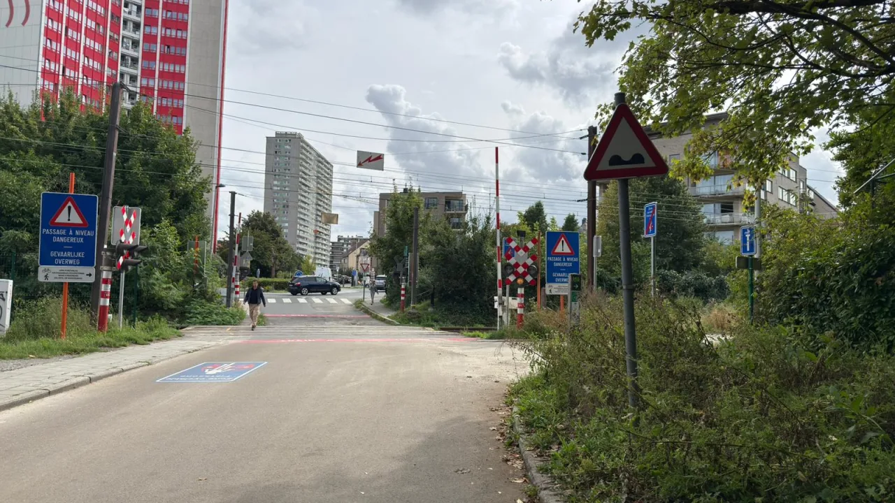 Triangle de danger à bord rouge portant deux bosses noires, au bord d'une rue menant à un passage à niveau