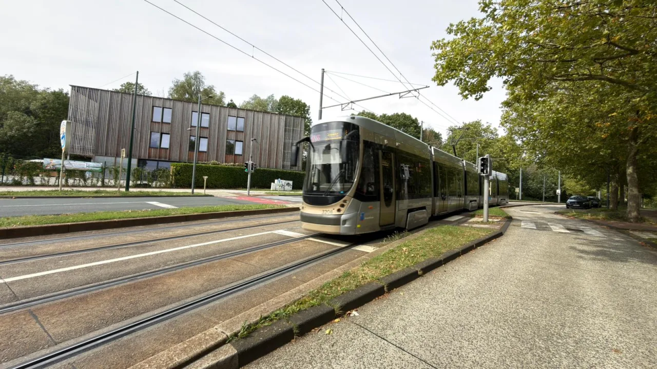 Site du tram séparé de la chaussée par une bordure et une berme herbeuse