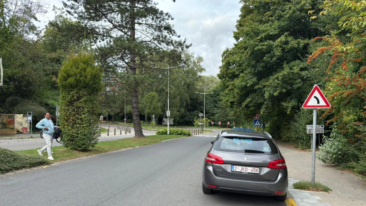 Triangle de danger annonçant un virage dangereux vers la gauche, au bord d'une rue