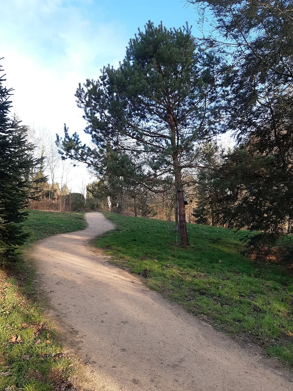 Chemin de terre de campagne ouvert à la circulation