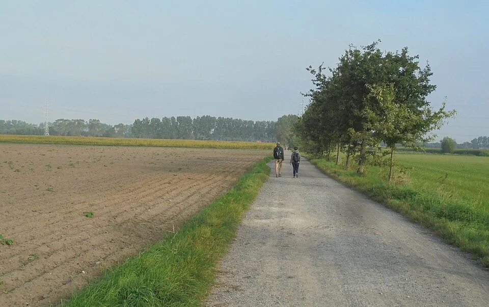 Route de campagne sans trottoir, accotement en herbe