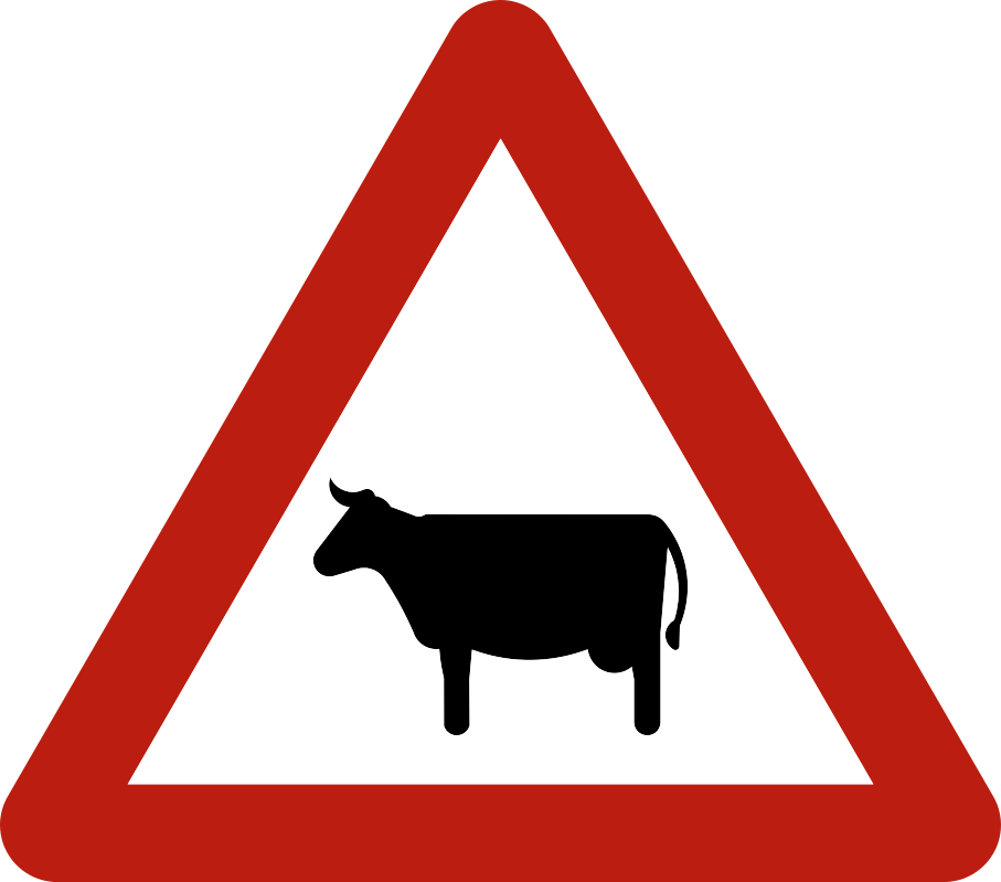 A29